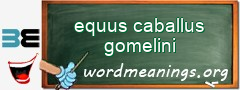 WordMeaning blackboard for equus caballus gomelini